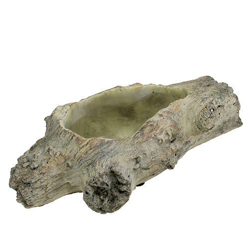 Floristik24 Ciotola per piantare 30 cm x 13 cm H8,5 cm