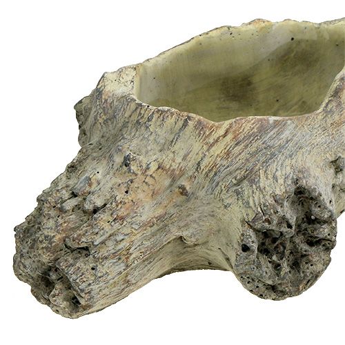Floristik24 Ciotola per piantare 30 cm x 13 cm H8,5 cm