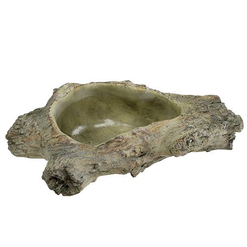 Floristik24 Ciotola per piantare 30 cm x 13 cm H8,5 cm