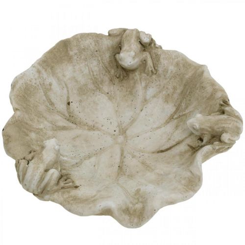 Prodotto Bagno per uccelli con rane, figura da giardino in cemento, foglia di loto per bagno per uccelli L21 cm H7 cm