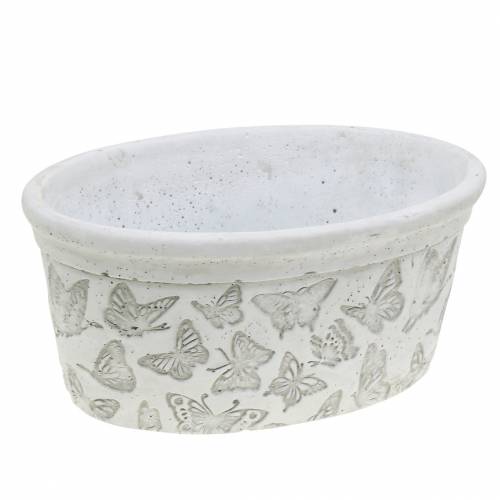 Floristik24 Ciotola portavasi bianca con farfalle 21 cm x 14 cm H9,5 cm 2 pezzi