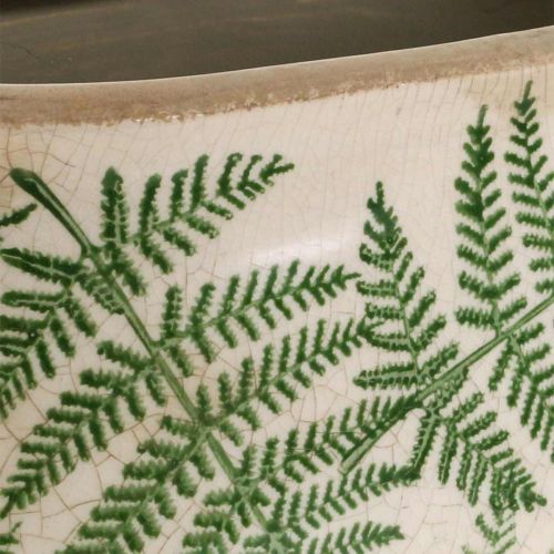 Floristik24 Ciotola per piante felce vaso ovale in ceramica 20×10×13,5 cm 2pz