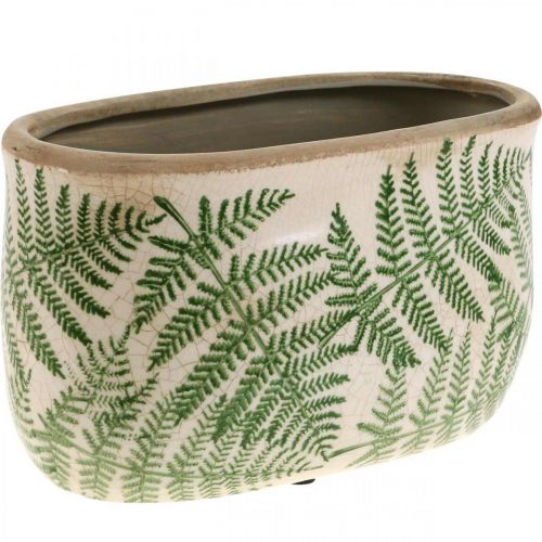 Floristik24 Ciotola per piante felce vaso ovale in ceramica 20×10×13,5 cm 2pz