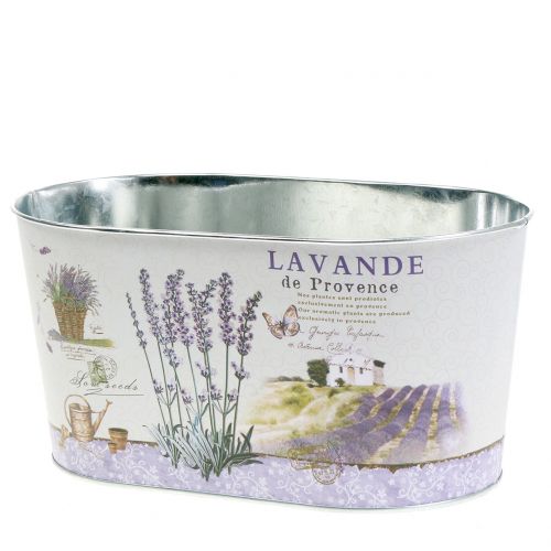 Floristik24 Ciotola per piantagione Lavanda ovale 22,5 cm x 13,5 cm H11 cm