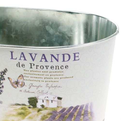 Floristik24 Ciotola per piantagione Lavanda ovale 22,5 cm x 13,5 cm H11 cm