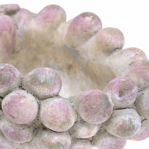 Floristik24 Ciotola decorativa uva grigio porpora crema 19×14 cm H9,5 cm