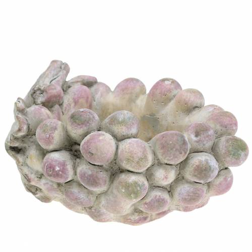 Floristik24 Ciotola decorativa uva grigio porpora crema 19×14 cm H9,5 cm