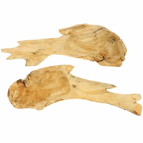 Floristik24 Ciotola di radica di legno 50 cm x 17 cm H8 cm