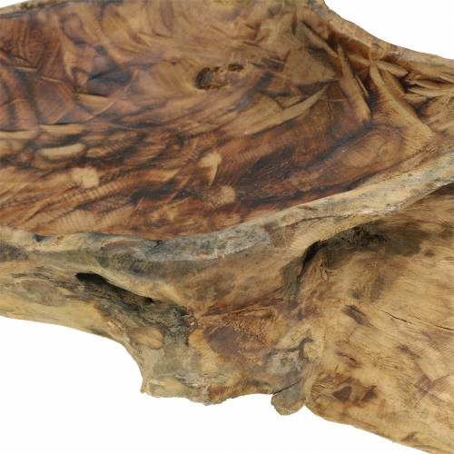 Floristik24 Ciotola in legno di radica fiammata 70cm x 27cm H12cm
