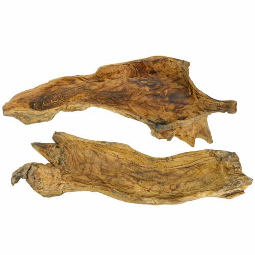 Floristik24 Ciotola in legno di radica fiammata 70cm x 27cm H12cm