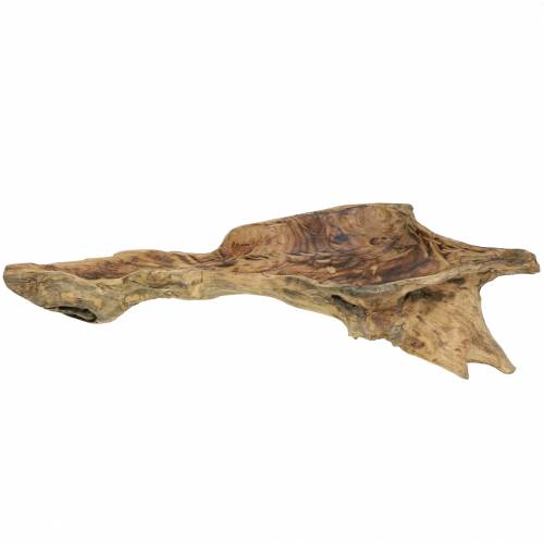 Floristik24 Ciotola in legno di radica fiammata 70cm x 27cm H12cm