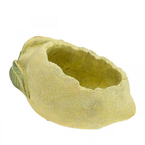 Ciotola in cemento mediterraneo, limone decorativo, fioriera, fioriera L18,5 cm
