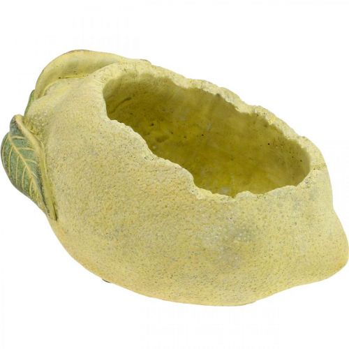 Floristik24 Ciotola per piante, limone per piantare, decoro mediterraneo in cemento L22cm