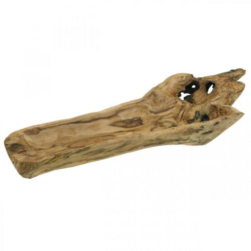 Floristik24 Ciotola decorativa Legno di Paulownia, vassoio per fiori, vaso in legno L58cm H7–8cm