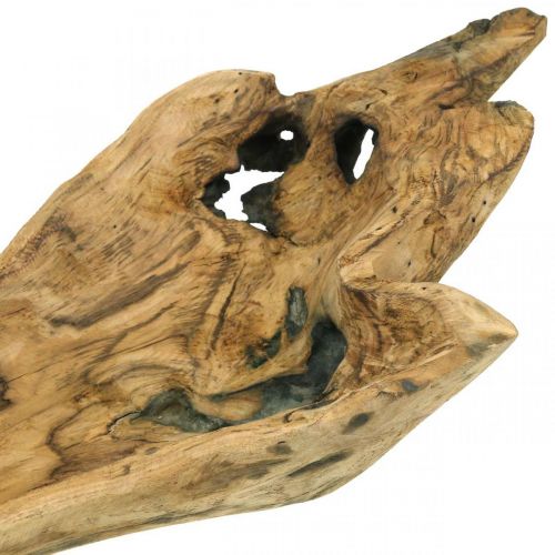 Floristik24 Ciotola decorativa Legno di Paulownia, vassoio per fiori, vaso in legno L58cm H7–8cm