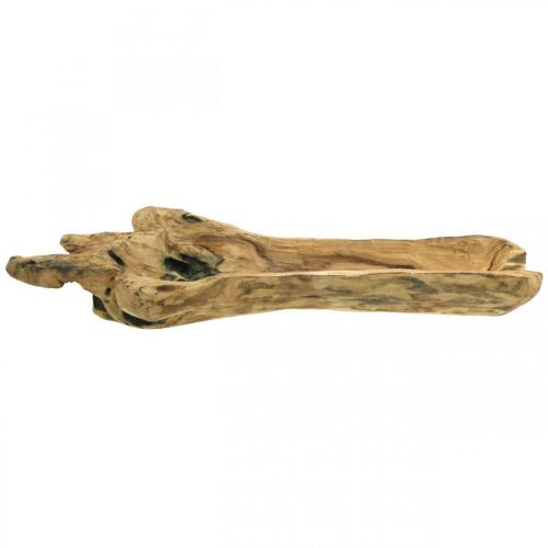 Floristik24 Ciotola decorativa Legno di Paulownia, vassoio per fiori, vaso in legno L58cm H7–8cm