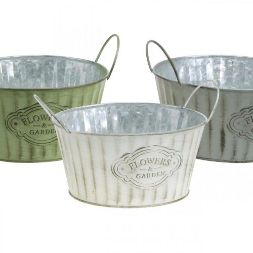 Floristik24 Ciotola per piante in metallo, vaso per fiori primaverili, fioriera con manici verde, bianco, grigio Ø21cm H15,5cm set di 3