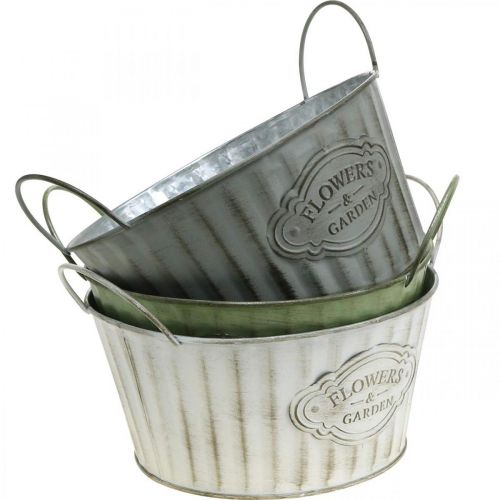 Floristik24 Ciotola per piante in metallo, vaso per fiori primaverili, fioriera con manici verde, bianco, grigio Ø21cm H15,5cm set di 3