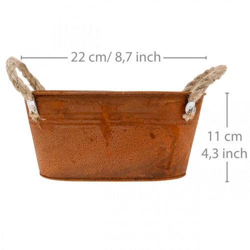 Floristik24 Ciotola in metallo con manici, decoro autunnale, fioriera con patina L22cm H11cm