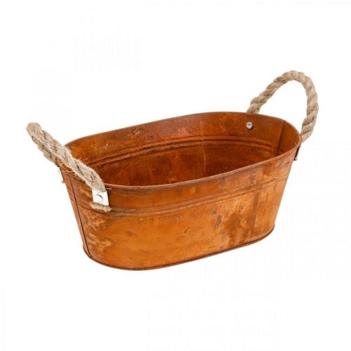 Floristik24 Vaso per piante con manici, ciotola per erbe aromatiche, decorazione autunnale, patina L28cm H11cm