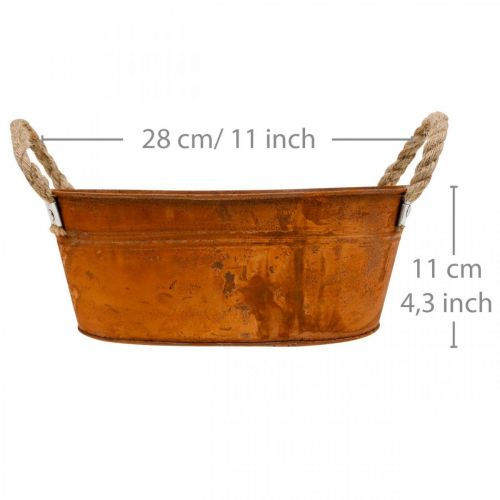 Floristik24 Vaso per piante con manici, ciotola per erbe aromatiche, decorazione autunnale, patina L28cm H11cm
