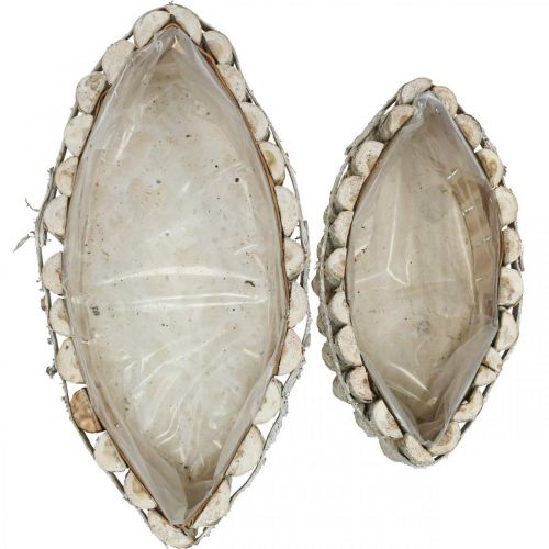 Floristik24 Ciotola per piante, scatola per piante in legno, jardiniere L37,5/28 cm H10/9 cm set di 2