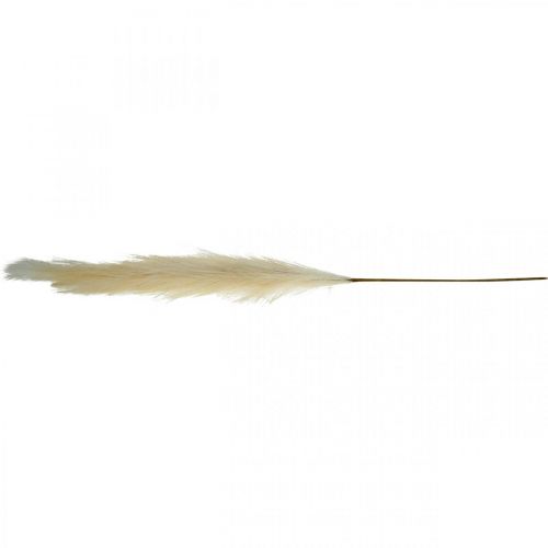 Floristik24 Feather Grass Cream Canna cinese Erba secca artificiale 100 cm 3 pezzi