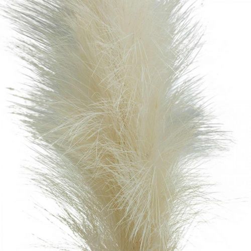 Floristik24 Feather Grass Cream Canna cinese Erba secca artificiale 100 cm 3 pezzi