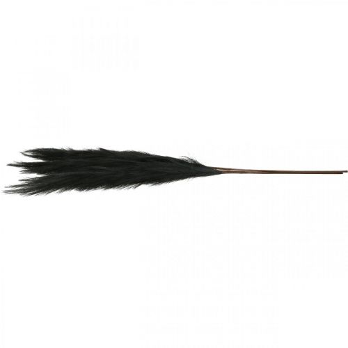 Floristik24 Erba di piume Canna cinese nera Erba secca artificiale 100 cm 3 pezzi