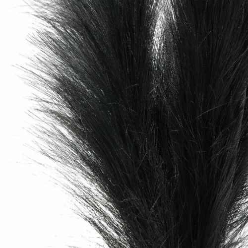 Floristik24 Erba di piume Canna cinese nera Erba secca artificiale 100 cm 3 pezzi