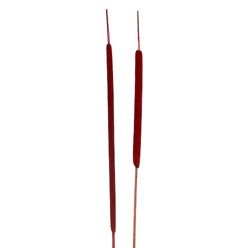 Floristik24 Lampadina mista rossa 100 pz