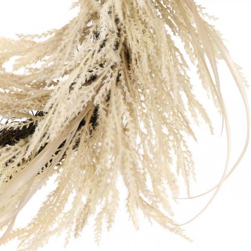 Floristik24 Corona decorativa erba di pampa e crema di canna artificiale 70 cm