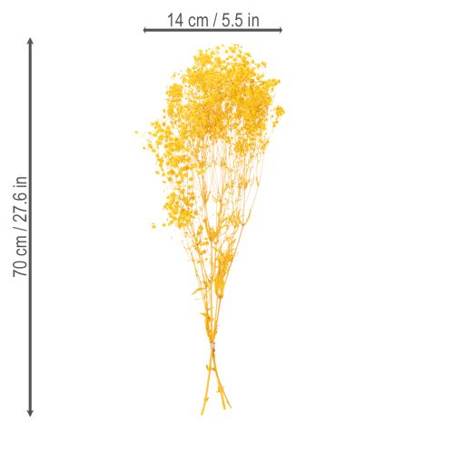 Prodotto Bouquet di fiori secchi con gypsophila. Rami fioriti decorativi adatti per decorazioni da tavola stagionali. 70 cm.