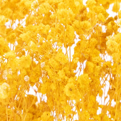 Prodotto Bouquet di fiori secchi con gypsophila. Rami fioriti decorativi adatti per decorazioni da tavola stagionali. 70 cm.