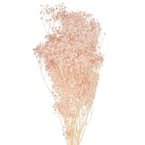 Prodotto Decorazione Gypsophila Arancio Erbe secche Pesca 65-70cm 100g