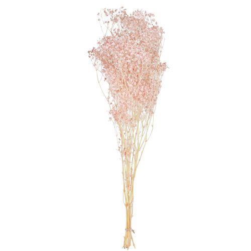 Prodotto Decorazione Gypsophila Arancio Erbe secche Pesca 65-70cm 100g