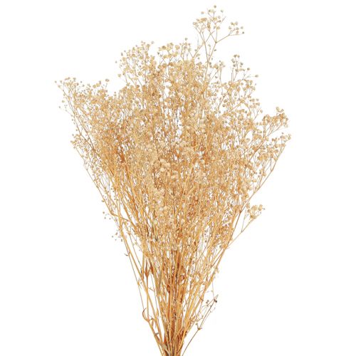 Prodotto Gypsophila Viola del pensiero Gesso Erba Fiori bianchi 50 cm 55 g