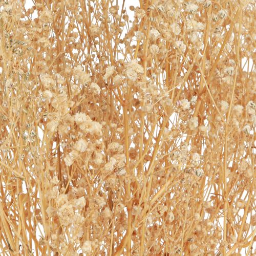 Prodotto Gypsophila Viola del pensiero Gesso Erba Fiori bianchi 50 cm 55 g