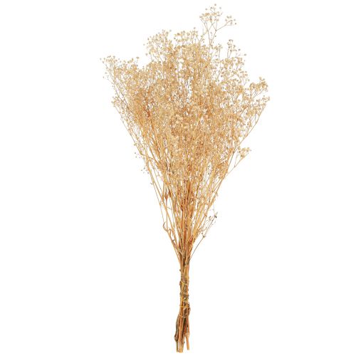 Prodotto Gypsophila Viola del pensiero Gesso Erba Fiori bianchi 50 cm 55 g