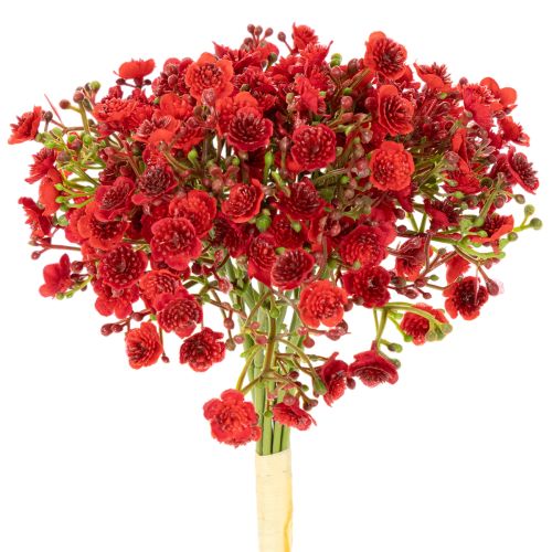Giardinaggio artificiale, rosso, bouquet come decorazione floreale, 30 cm, 10 pezzi
