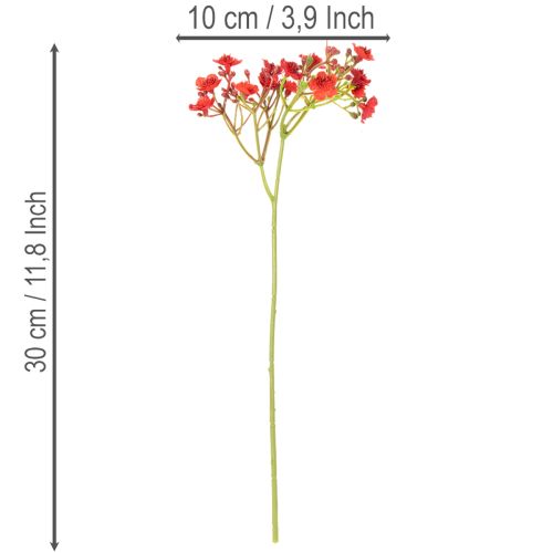 Giardinaggio artificiale, rosso, bouquet come decorazione floreale, 30 cm, 10 pezzi | Floristik24.it