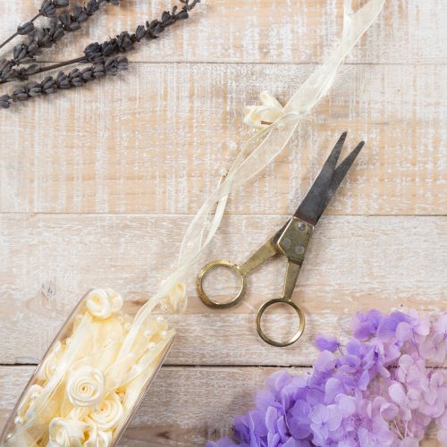 Prodotto Nastro Valentino color crema 15 mm 5 m