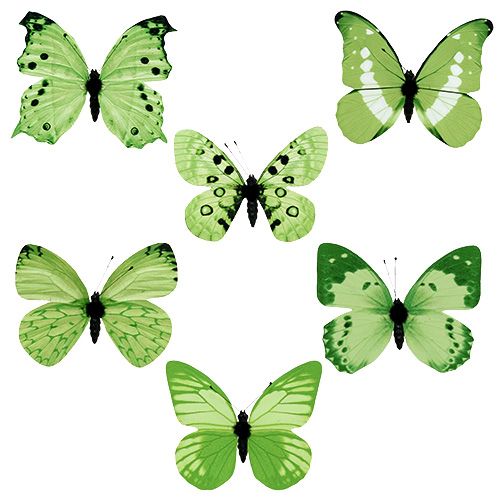 Floristik24 Farfalla verde su clip 10 cm - 11 cm 6 pezzi