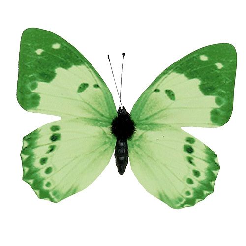 Floristik24 Farfalla verde su clip 10 cm - 11 cm 6 pezzi