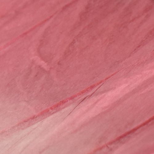 Prodotto Grande decorazione a forma di farfalla da appendere, elegante decorazione da parete, 50 cm, 2 pezzi