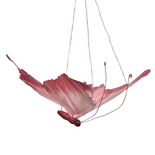 Prodotto Grande decorazione a forma di farfalla da appendere, elegante decorazione da parete, 50 cm, 2 pezzi