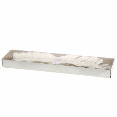 Floristik24 Farfalla piuma con filo bianco, glitter 5 cm 24 pz