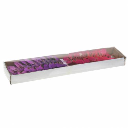 Floristik24 Farfalla piuma con filo 7 cm rosa viola 24 pz