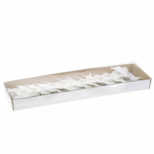 Floristik24 Farfalla piuma su clip bianca 10 cm 12 pz