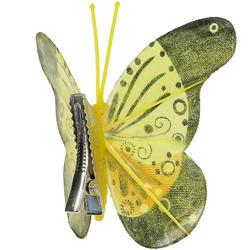 Floristik24 Farfalle con clip 5cm - 7cm assortite 10pz